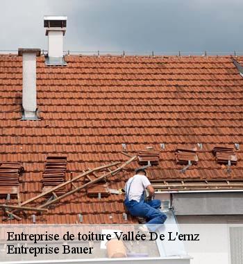 6.	Entreprise pour refaire sa toiture : Entreprise Bauer se positionne comme la première dans tout Entreprise Bauer