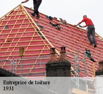 18. Démoussage de toiture et autres travaux d’entretien : pensez à faire appel à l’équipe de Les toitures luxembourgeoise