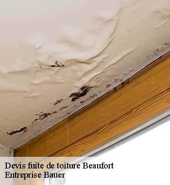 Les travaux d'urgence de fuites de toiture effectuées par Entreprise Bauer