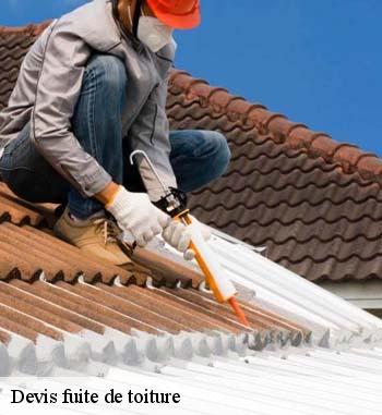 Qui se charge des travaux de réparation des fuites pour les surfaces supérieures de l'immeuble à Berdorf et les localités avoisinantes?