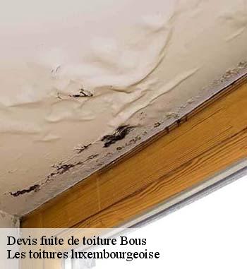 Toutes les informations à savoir sur les travaux de réparation d'infiltrations entre les tuiles à Bous et les localités avoisinantes 