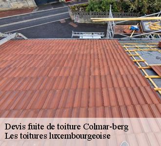 Qui se charge des travaux de réparation des fuites pour les surfaces supérieures de l'immeuble à Colmar-berg et les localités avoisinantes?