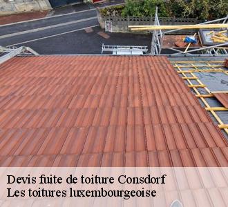 Les compétences de Les toitures luxembourgeoise  pour la réparation des fuites à Consdorf dans le 