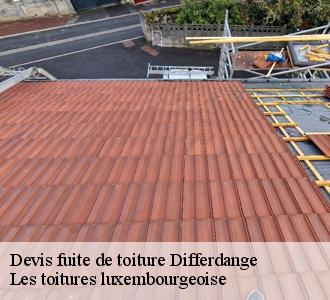 La difficulté des travaux d'urgence pour les fuites de toiture à Differdange
