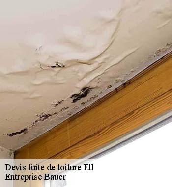 Les travaux d'urgence pour les toits dans le 