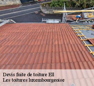 Qui peut régler les problèmes d'infiltration d'eau au niveau des toits à Ell?
