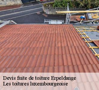 Qui peut régler les problèmes d'infiltration d'eau au niveau des toits à Erpeldange?