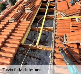 Les toitures luxembourgeoise et les travaux de réparation des fuites de toit à Erpeldange