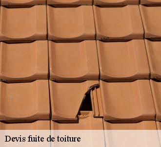 Les toitures luxembourgeoise : le couvreur qui peut effectuer les travaux d'urgence pour les fuites de toiture