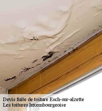 Les travaux de réparation pour les fuites de toiture à Esch-sur-alzette