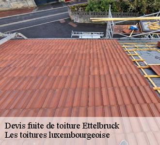 Les travaux d'urgence pour les fuites de toiture à Ettelbruck dans le