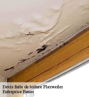 Les travaux d'urgence de fuites de toiture effectuées par Entreprise Bauer