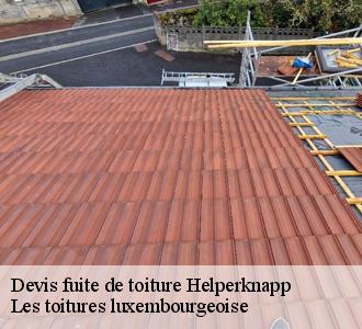 Toutes les informations à savoir sur les travaux de réparation d'infiltrations entre les tuiles à Helperknapp et les localités avoisinantes 