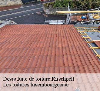 Qui peut se charger des travaux d'urgence pour les fuites de toiture à Kiischpelt?