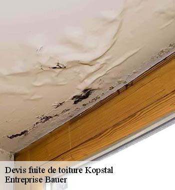 Qui s'occupe des travaux d'urgence en cas de fuite de toiture à Kopstal?