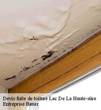 Qui se charge des travaux de réparation des fuites pour les surfaces supérieures de l'immeuble à Lac De La Haute-sûre et les localités avoisinantes?