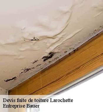 - Ce qu'il faut savoir sur les travaux de réparation des fuites de toiture à Larochette et les localités avoisinantes