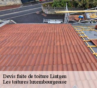 À qui peut-on confier les travaux de réparation des infiltrations sur les toits des maisons à Lintgen?