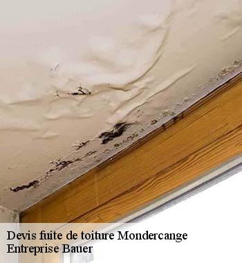 Qui se charge des travaux de réparation des fuites pour les surfaces supérieures de l'immeuble à Mondercange et les localités avoisinantes?