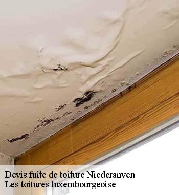 Les travaux de réparation pour les fuites de toiture à Niederanven