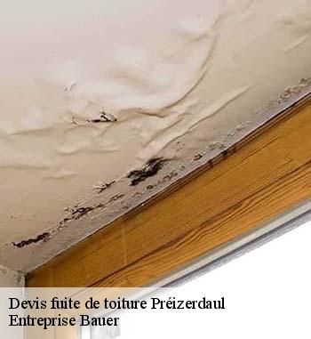 À qui peut-on confier les travaux de réparation des infiltrations sur les toits des maisons à Préizerdaul?