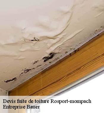 Qui peut régler les problèmes d'infiltration d'eau au niveau des toits à Rosport-mompach?