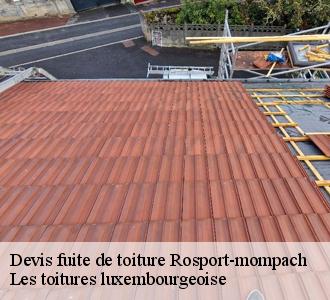 Les raisons qui poussent à convier Les toitures luxembourgeoise à Rosport-mompach