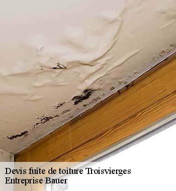 Qui s'occupe des travaux d'urgence en cas de fuite de toiture à Troisvierges?