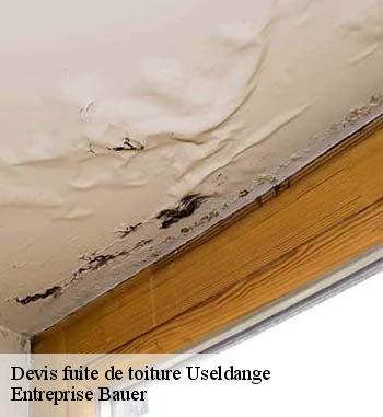 Les compétences de Entreprise Bauer pour réaliser les travaux d'urgence pour les fuites de toiture à Useldange dans le 