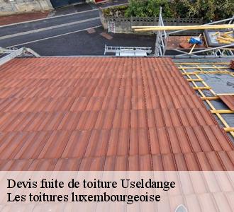 Les raisons qui poussent à convier Les toitures luxembourgeoise à Useldange