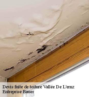 Toutes les informations à savoir sur les travaux de réparation d'infiltrations entre les tuiles à Vallée De L'ernz et les localités avoisinantes 
