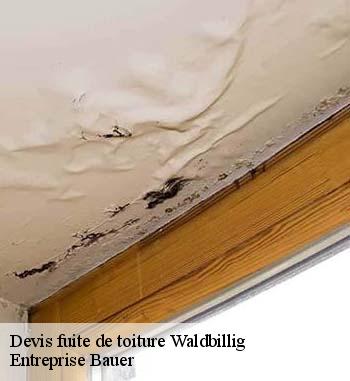 Qui s'occupe des travaux d'urgence en cas de fuite de toiture à Waldbillig?