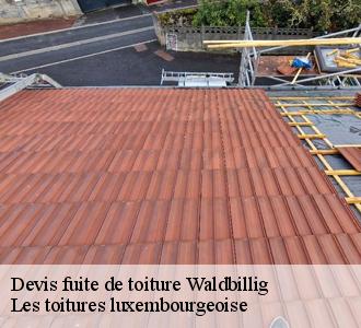 Qui peut régler les problèmes d'infiltration d'eau au niveau des toits à Waldbillig?