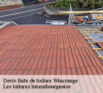 À qui peut-on confier les travaux de réparation des infiltrations sur les toits des maisons à Wincrange?