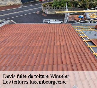 Qui se charge des travaux de réparation des fuites pour les surfaces supérieures de l'immeuble à Winseler et les localités avoisinantes?