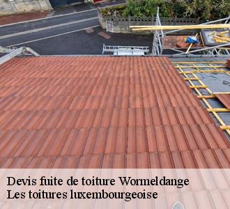 Les compétences de Les toitures luxembourgeoise  pour la réparation des fuites à Wormeldange dans le 