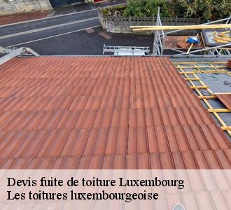Les toitures luxembourgeoise  : un habitué des travaux d'urgence pour les fuites de toiture