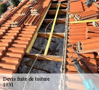 Les compétences de Les toitures luxembourgeoise  pour réaliser les travaux d'urgence pour les fuites de toiture à Luxembourg dans le 1931