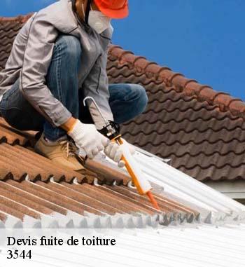 Les travaux d'urgence de fuites de toiture effectuées par Entreprise Bauer