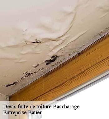 Entreprise Bauer : le couvreur qui peut effectuer les travaux d'urgence pour les fuites de toiture