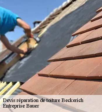 Qui prend en main les travaux de réparation pour les toits des maisons à Beckerich ?