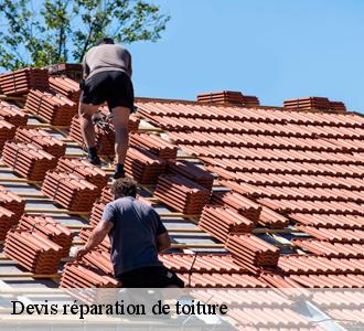 Les toitures luxembourgeoise  et les travaux de réparation des toits des maisons
