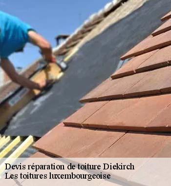À qui peut-on confier les travaux de réparation des toits des maisons à Diekirch ?