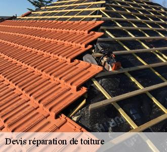 Les toitures luxembourgeoise et les travaux de réparation des tuiles de rive à Diekirch
