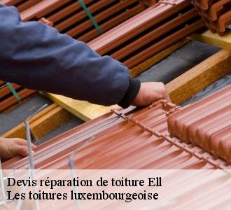 Les travaux de réparation pour les toits des maisons à Ell