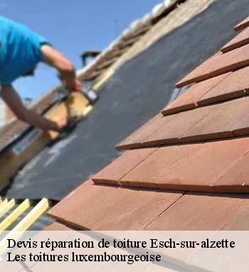 Les travaux de réparation des tuiles de rive à Esch-sur-alzette