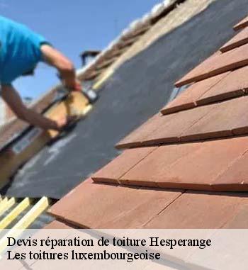 Entreprise Bauer et la réparation des tuiles faîtières à Hesperange