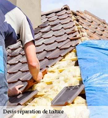 Entreprise Bauer et la réparation des tuiles faîtières à Wahl