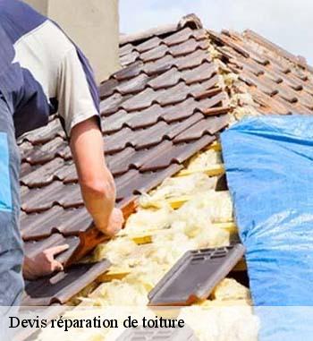 Les travaux de réparation pour les toits des maisons à Koerich