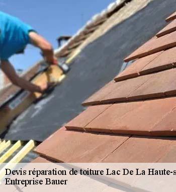 Les travaux de réparation pour les toits des maisons à Lac De La Haute-sûre